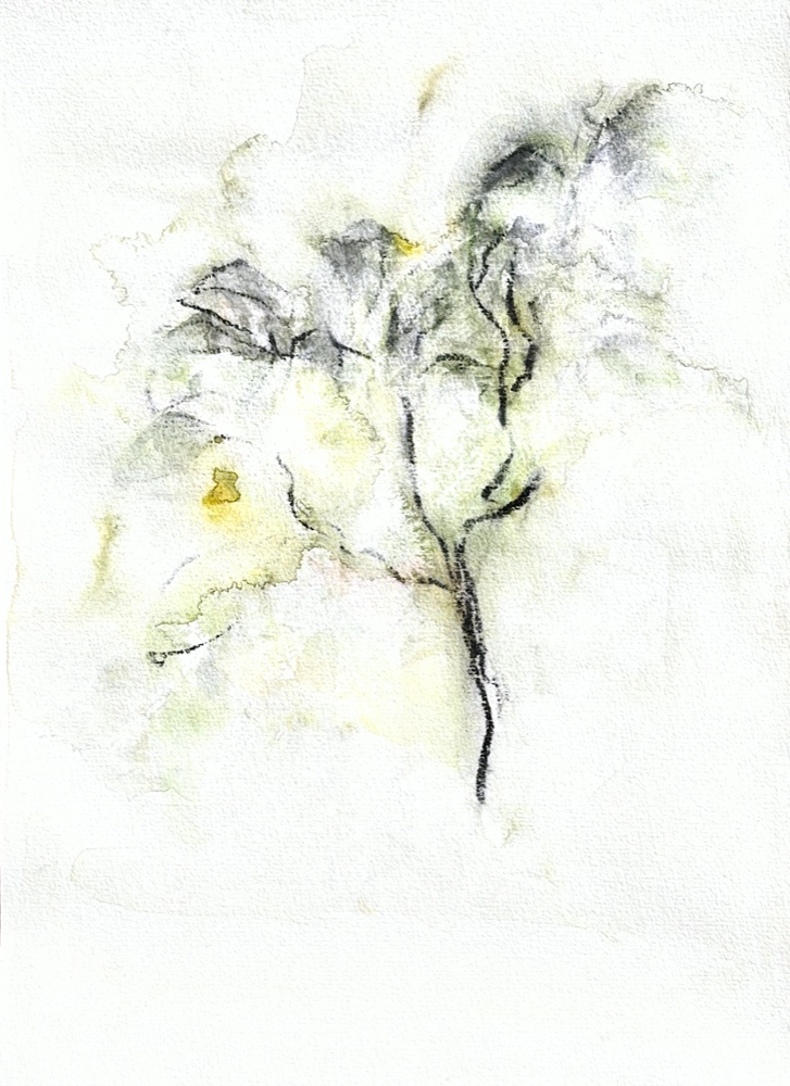 Agrumes / Breath of Citrus