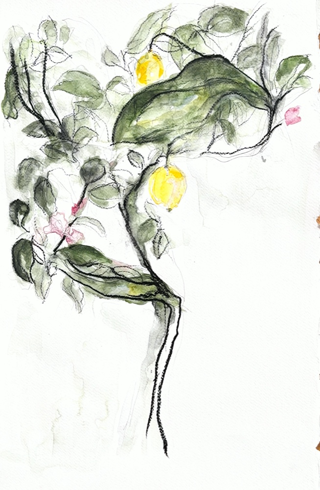 Branche suspendue / Suspended Branch