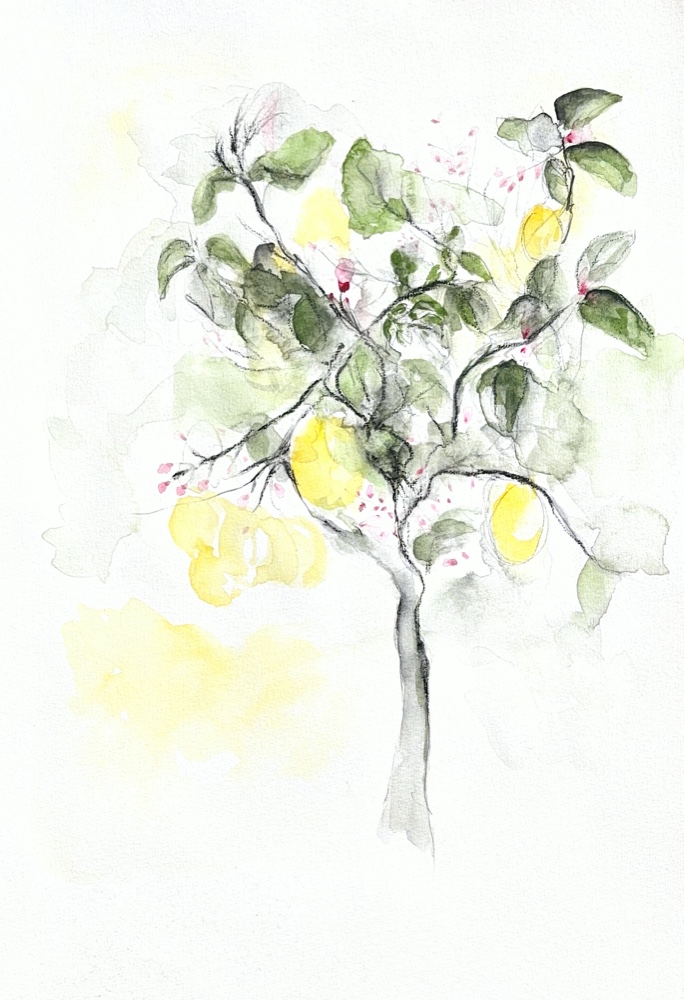 Early Morning Blossoms / Floraisons de l’aube