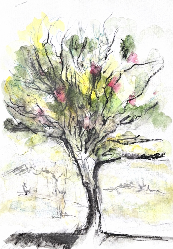 Fleurs nocturnes / Nocturnal Blossoms
